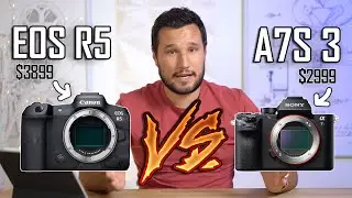 Buy an EOS R5 or Wait for A7S3?  A Realistic Comparison!