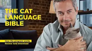 The Cat Language Bible PDF, Review and Book download (Jonas Jurgella)