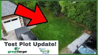 How to Grow Grass Seed EASY! | Side Yard Reno Part 2