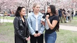 Cherry Blossoms at Trinity Bellwoods in Toronto