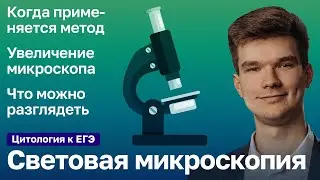 2.2. Световая микроскопия | Цитология к ЕГЭ | Георгий Мишуровский