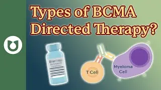 What types of BCMA directed therapies are being explored in myeloma? #myeloma