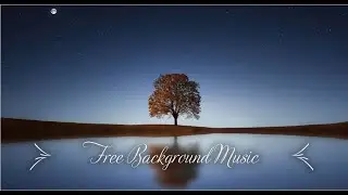 1 Hour Upbeat Background Music Best MBB Music Collection Free Download, No Copyright