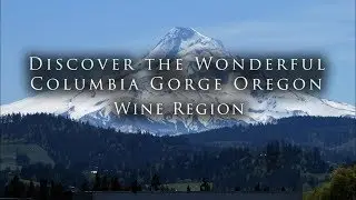 Discover the Wonderful Oregon Columbia Gorge Wine Region