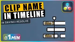 How to Change the NAME of Clips in TIMELINE in Davinci Resolve