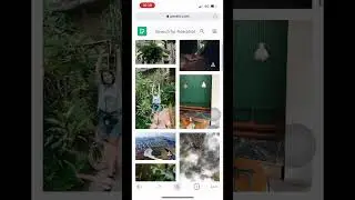 Use pexels.com To Download High Quality Pictures And Videos For Free