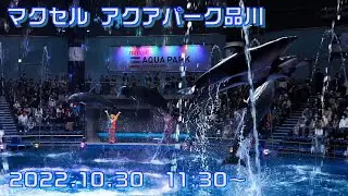 ◆マクセル アクアパーク品川　ドルフィンパフォーマンス　デイver.（FUNNY PARTY!!）（2022.10.30）11:30~ ◆