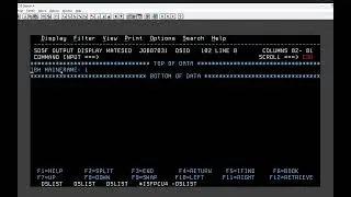 PERFORM TEST BEFORE AFTER in Cobol | All About Mainframes