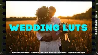 Wedding LUTs | Wedding LUT Pack | Wedding LUT Pack Premiere Pro