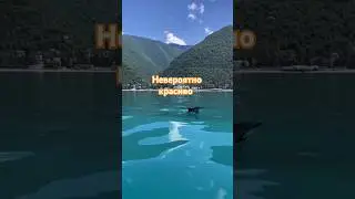 АБХАЗИЯ! Лето, море, дельфины 🐬#абхазия #море #апсны