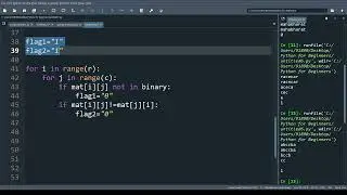 NPTEL joy of computing using python week 7 program 3 | Binary and Symmetric matrix identification.