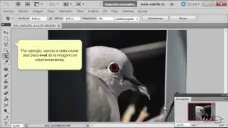 Curso de Fotografía y Photoshop. 17. Recortar