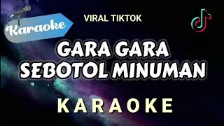 [Karaoke] GARA GARA SEBOTOL MINUMAN (viral tiktok) Karaoke Version