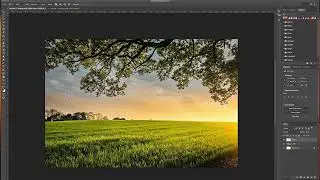 How add custom trees to any photograph in Photoshop