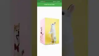 Flutter Carousale Slider