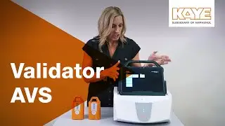 Kaye Validator AVS - Advanced Validation System