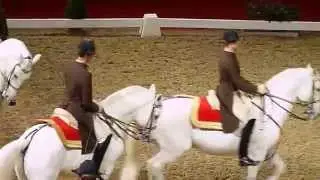 The Spanish Riding School of Vienna