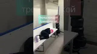 Перед каждой тренировкой 🤦‍♂️