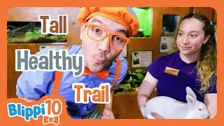 BLIPPI’S TOP TEN: ANIMALS! | BLIPPI | 💤 Bedtime, Wind Down, and Sleep with Moonbug Kids