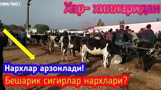 БЕШАРИК МОЛ БОЗОРИ НАРХЛАРИ...