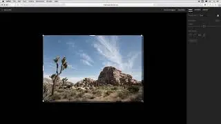 Crop and Straighten Photographs in Lightroom Web | Adobe Lightroom