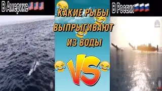 АМЕРИКА VS РОССИЯ | Приколы из Тик Тока | СМЕХ ДО СЛЕЗ | СМЕШНЫЕ ПОДБОРКИ | ржака приколы 2020 |