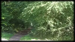 1,000 SUBSCRIBER SPECIAL [FREE STUFF]