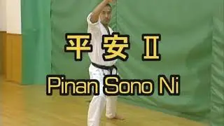 ВСЕ КАТА (Киокушинкай Карате - Kyokushin Karate)