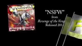 NSFW by Psychostick w/lyrics