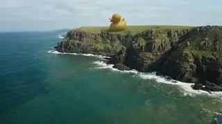 Duck on a Hill.