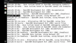 How to Install Java on Linux