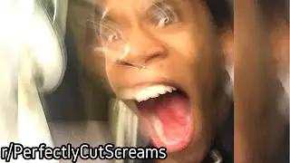 r/PerfectlyCutScreams | Screams that are perfectly cut