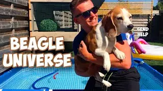 Welcome To The Beagle Universe Channel