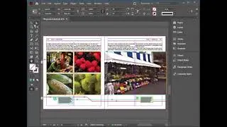 Creative Cloud InDesign: Adding Images and Captions