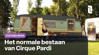 Het normale bestaan van Cirque Pardi