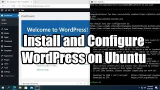 How to create a website on Ubuntu with WordPress