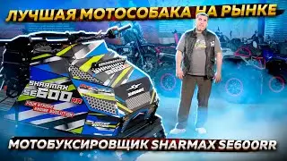 Лучшая мотособака на рынке ! / Обзор мотобуксировщика Sharmax SE600RR