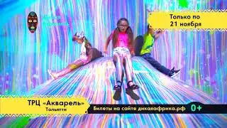 Дикая Африка в Тольятти только до 21 ноября!