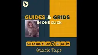 After Effects Automation: Create Guides around Layers and Guide Grids