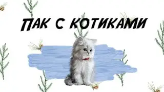 •🍌❤️Готовые эффекты для Alight Motion🦄💓•||🐈Пак с котиками😘~Огромный пак эффектов🤭🥰