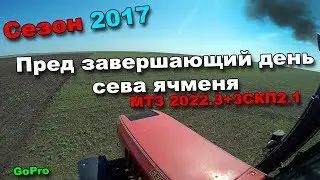31-д. 2017 