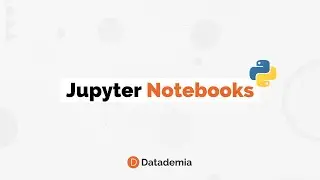 ¿Qué es un Jupyter Notebook?