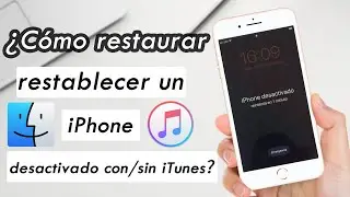 Cómo restaurar / restablecer iPhone desactivado con / sin iTunes