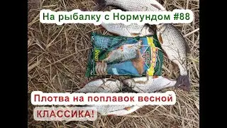 Плотва на поплавок весной - КЛАССИКА! На рыбалку с Нормундом #88