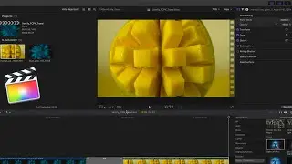 How to install and use Final Cut Pro X Transitions by Vamify