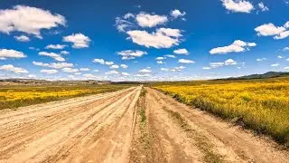 Soda Lake Road Dirt Section | Carrizo Plain National Monument | California | Ultrawide | April 2024