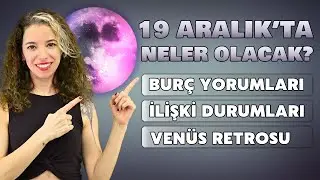 Dolunay ve Burcunuza Etkileri, Venüs Retrosu, İlişkiler, Para, Aşk / Astromaniac #2 / Sena Açıkoğlu