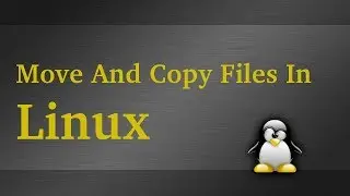 How To Move and Copy Files In Linux