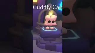 The Cuddly Candle only 500 Robux!!! Adopt me