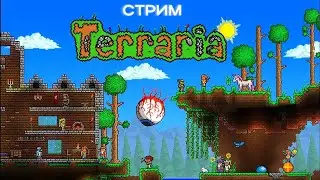 СТАНОВЛЮСЬ ГУРУ ПО TERRARIA! СТРИМ (#1)